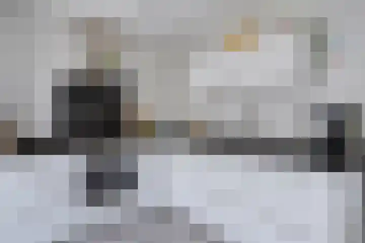 Vingerhoedskruid 43 Venray thumbnail 14
