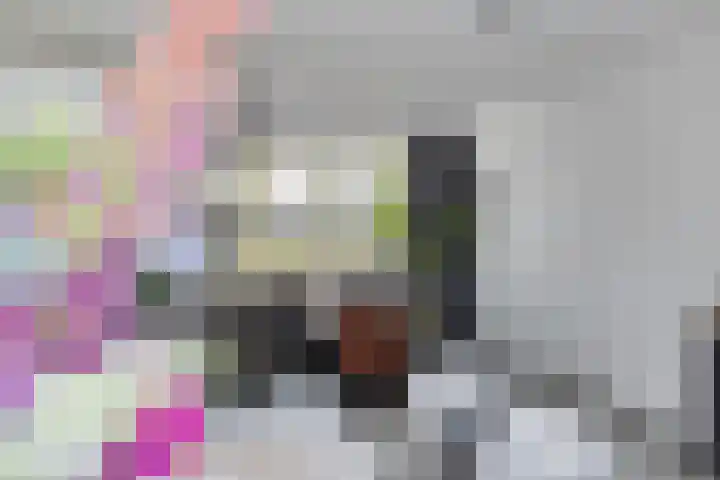 Vingerhoedskruid 43 Venray thumbnail 16
