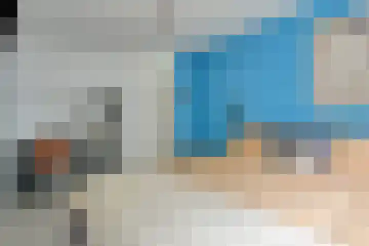 Vingerhoedskruid 43 Venray thumbnail 20