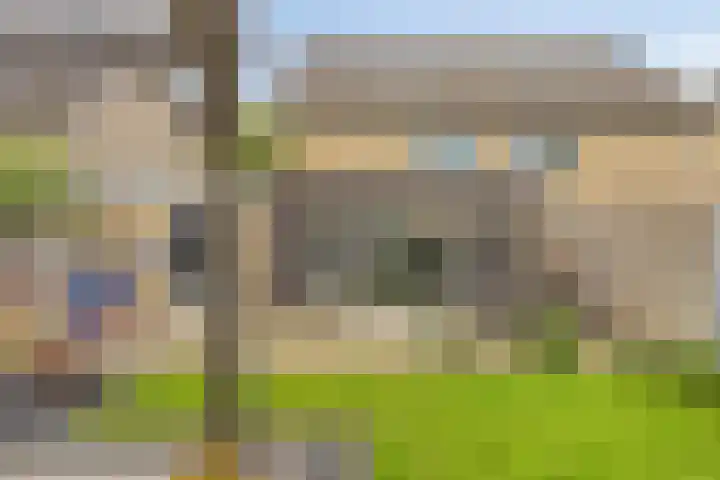 Vingerhoedskruid 43 Venray thumbnail 27