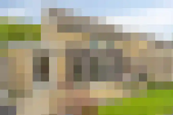 Vingerhoedskruid 43 Venray thumbnail 28