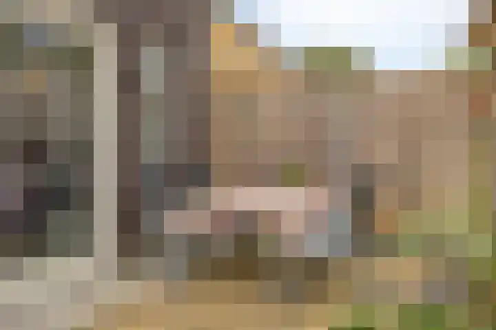 Vingerhoedskruid 43 Venray thumbnail 29