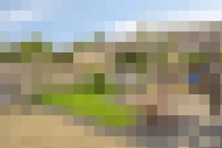 Vingerhoedskruid 43 Venray thumbnail 31