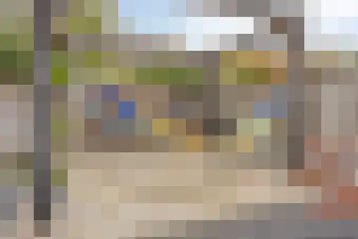 Vingerhoedskruid 43 Venray thumbnail 32