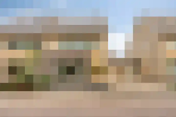 Vingerhoedskruid 43 Venray thumbnail 33