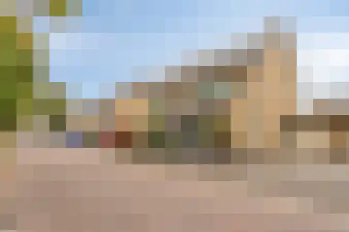 Vingerhoedskruid 43 Venray thumbnail 34