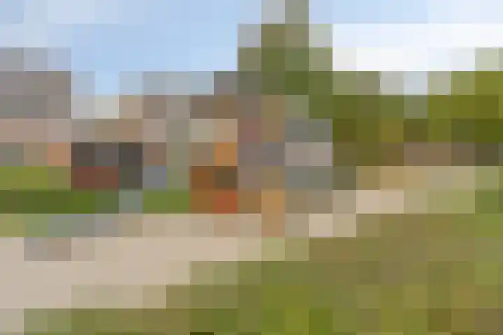 Vingerhoedskruid 43 Venray thumbnail 35