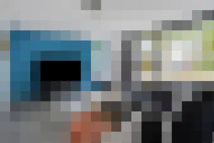 Vingerhoedskruid 43 Venray thumbnail 4
