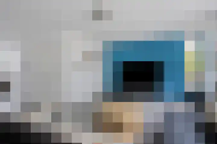Vingerhoedskruid 43 Venray thumbnail 5