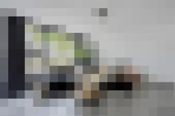 Vingerhoedskruid 43 Venray thumbnail 6