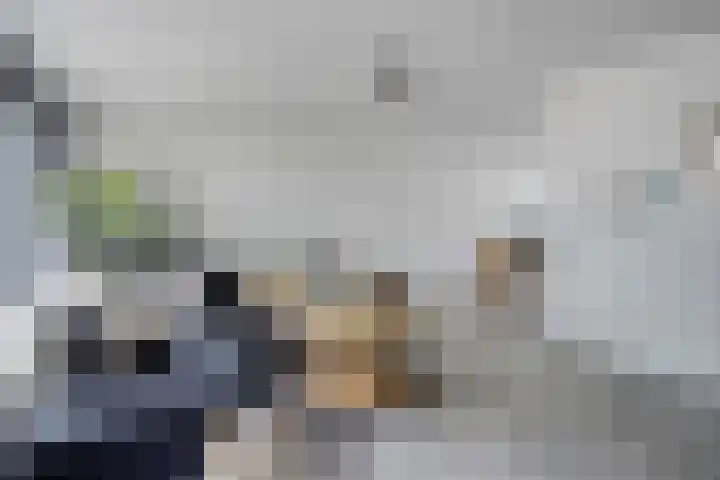 Vingerhoedskruid 43 Venray thumbnail 7