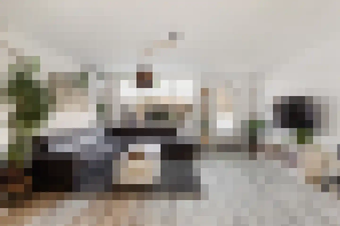 Vingerhoedskruid 5 Krimpen aan den IJssel thumbnail 10
