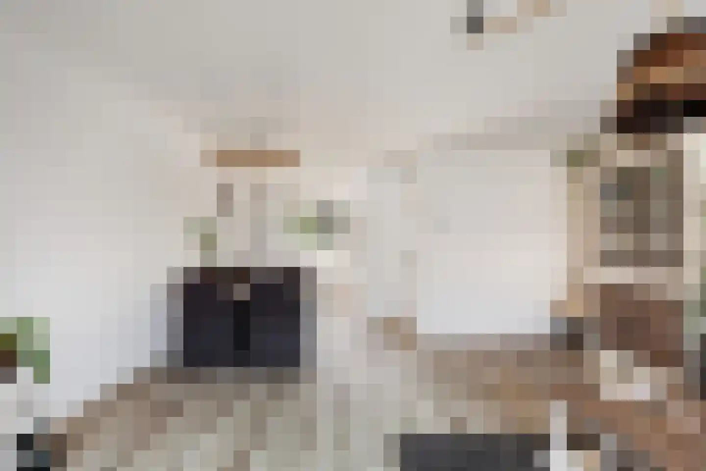 Vingerhoedskruid 5 Krimpen aan den IJssel thumbnail 15