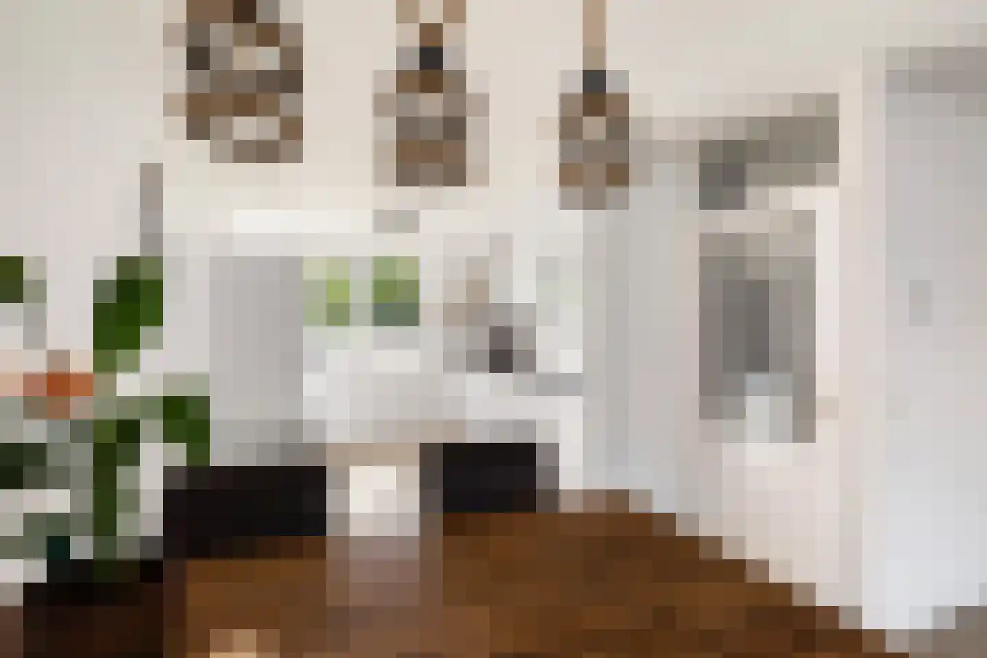Vingerhoedskruid 5 Krimpen aan den IJssel thumbnail 16
