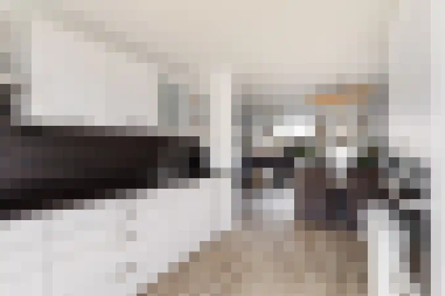 Vingerhoedskruid 5 Krimpen aan den IJssel thumbnail 18