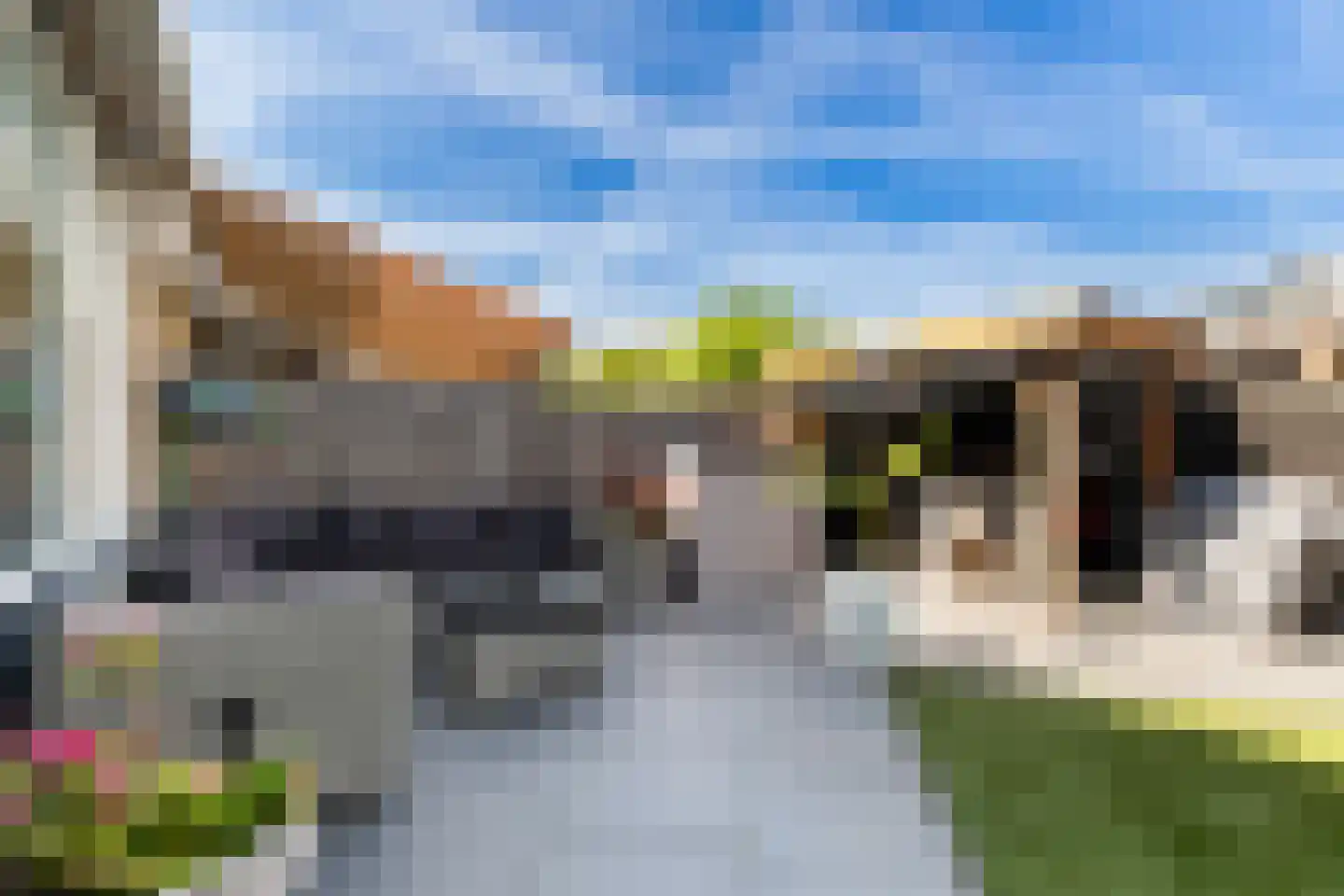 Vingerhoedskruid 5 Krimpen aan den IJssel thumbnail 23