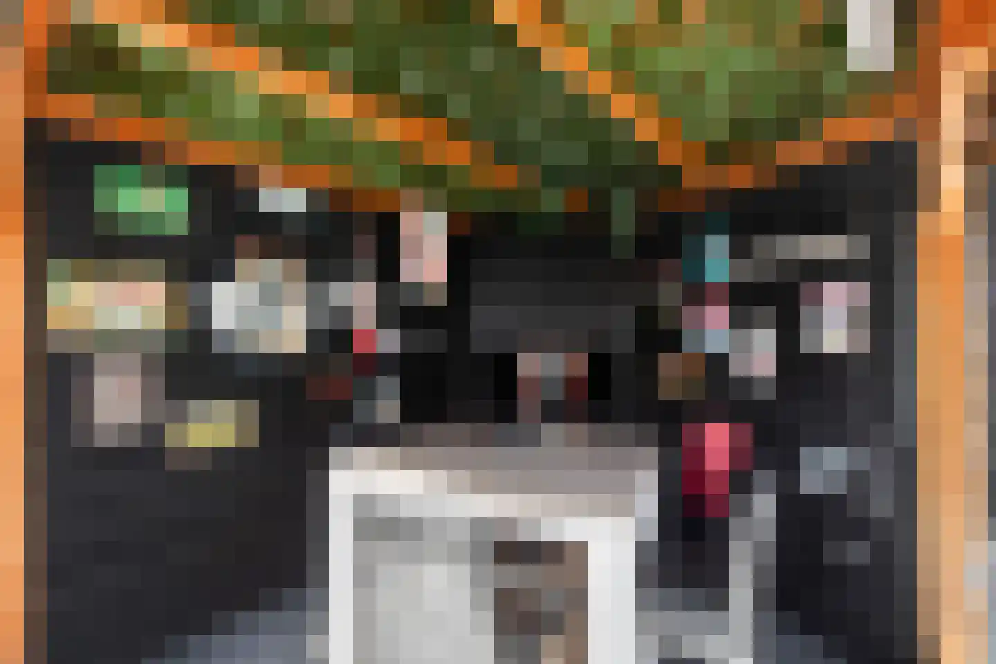Vingerhoedskruid 5 Krimpen aan den IJssel thumbnail 25