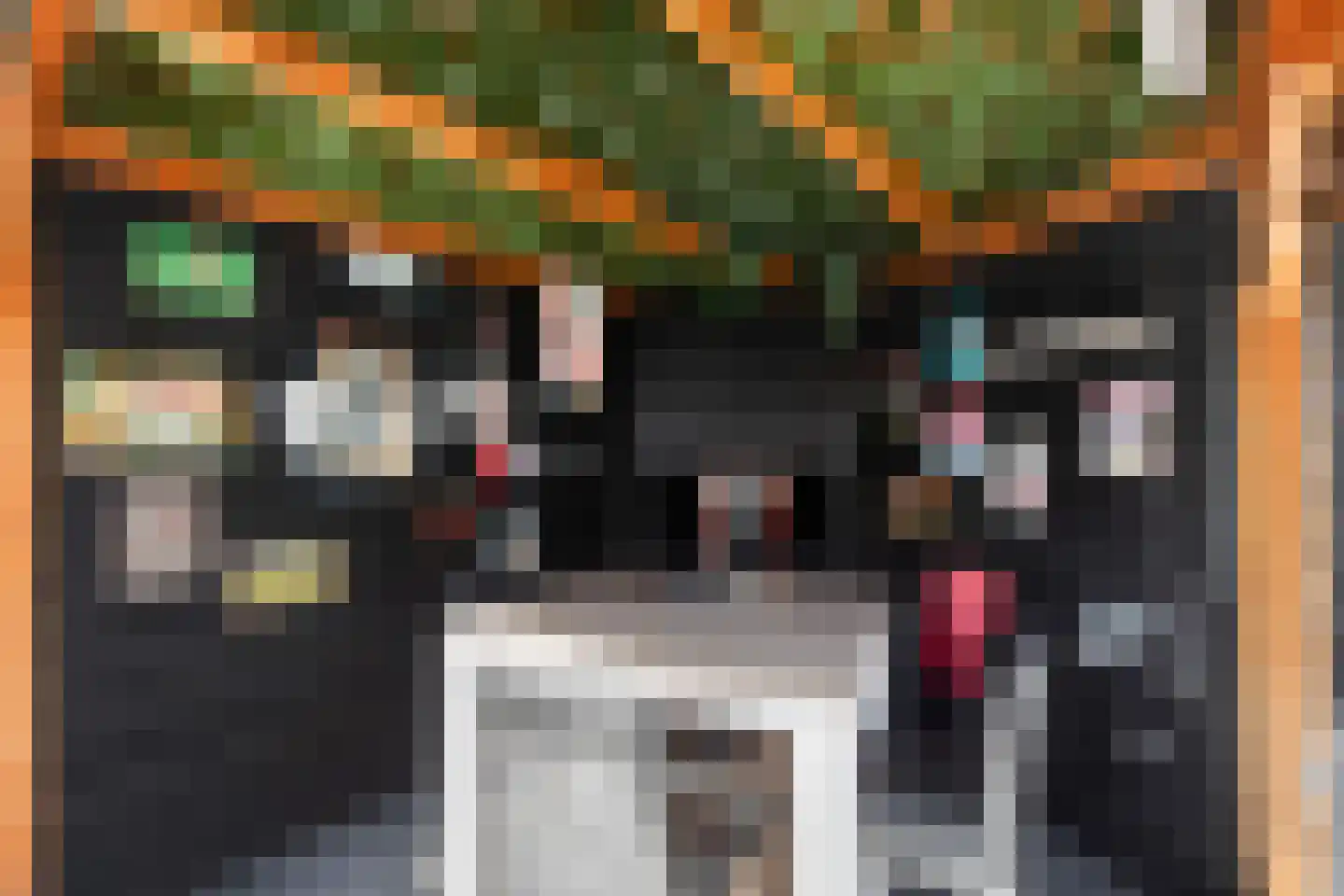Vingerhoedskruid 5 Krimpen aan den IJssel thumbnail 25