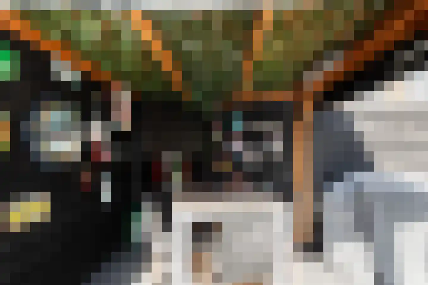 Vingerhoedskruid 5 Krimpen aan den IJssel thumbnail 26