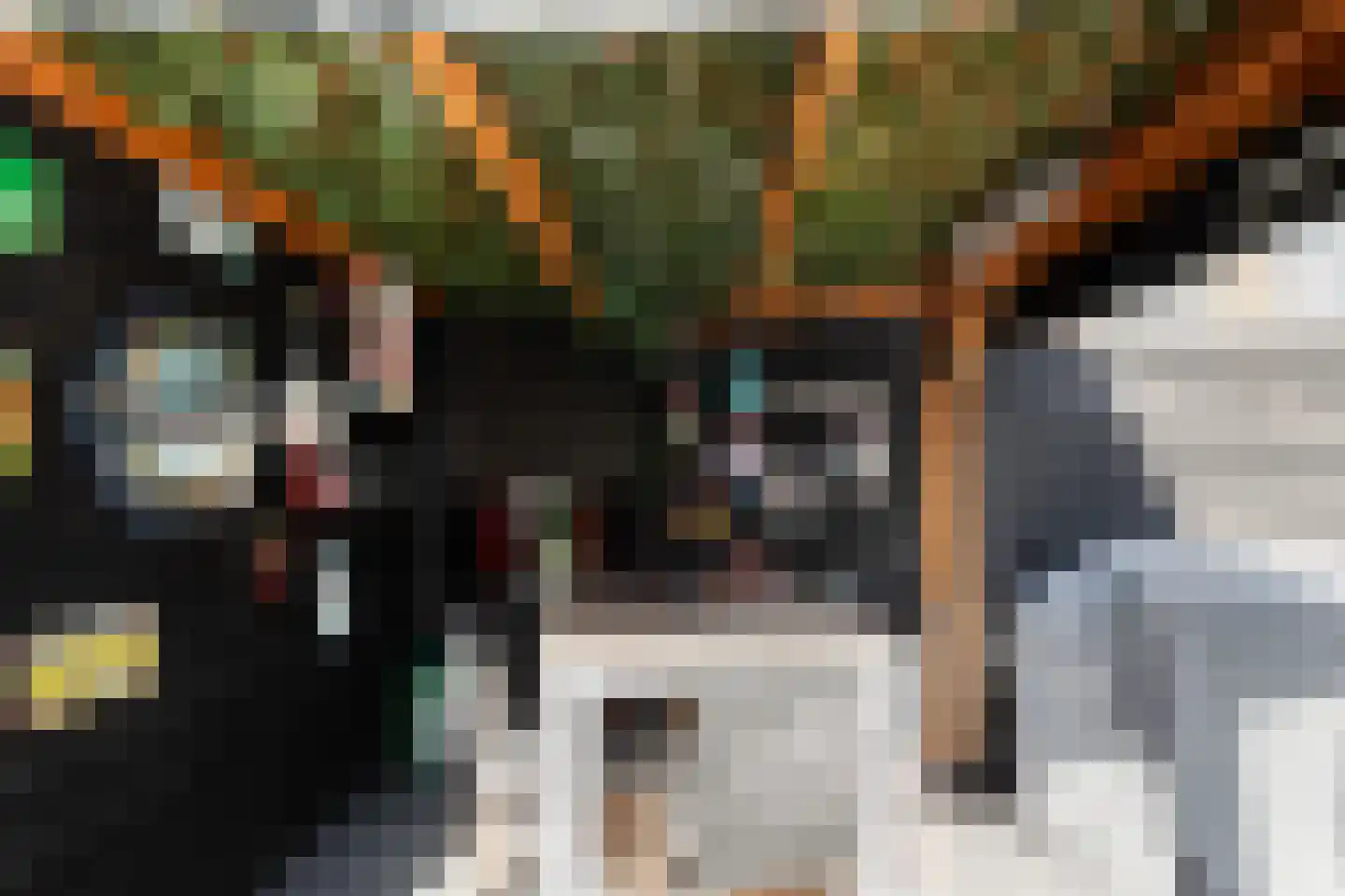 Vingerhoedskruid 5 Krimpen aan den IJssel thumbnail 26