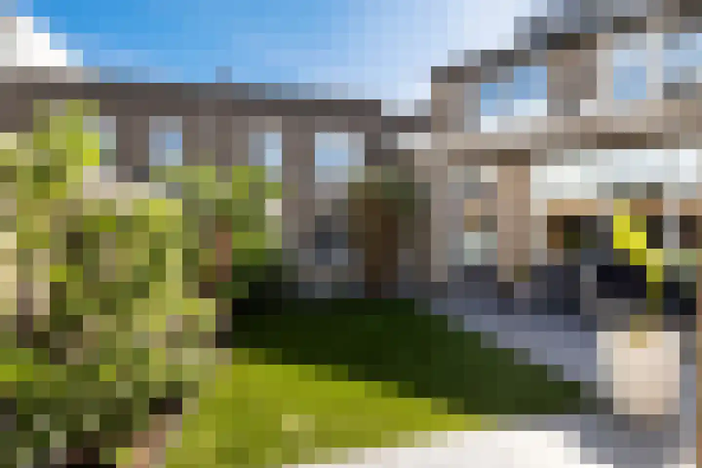 Vingerhoedskruid 5 Krimpen aan den IJssel thumbnail 27