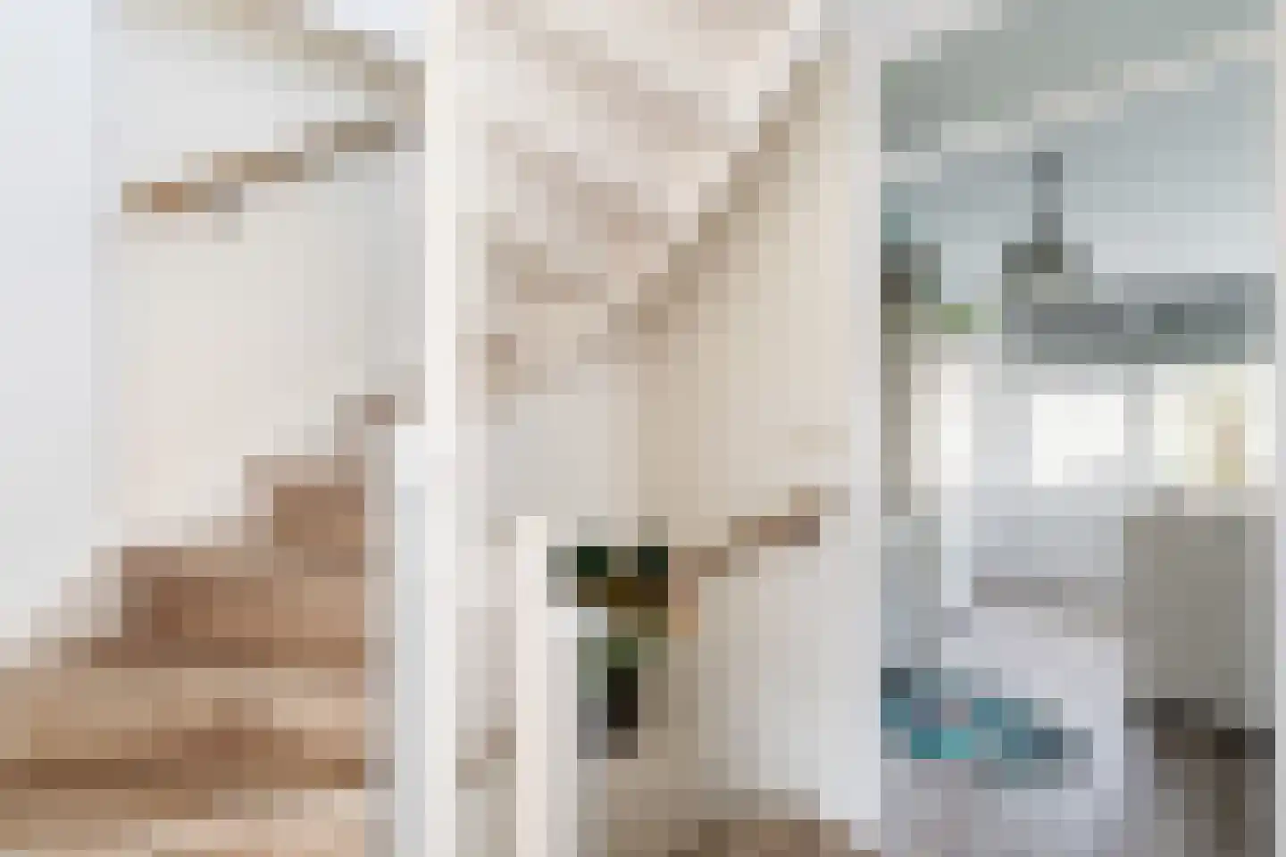 Vingerhoedskruid 5 Krimpen aan den IJssel thumbnail 32