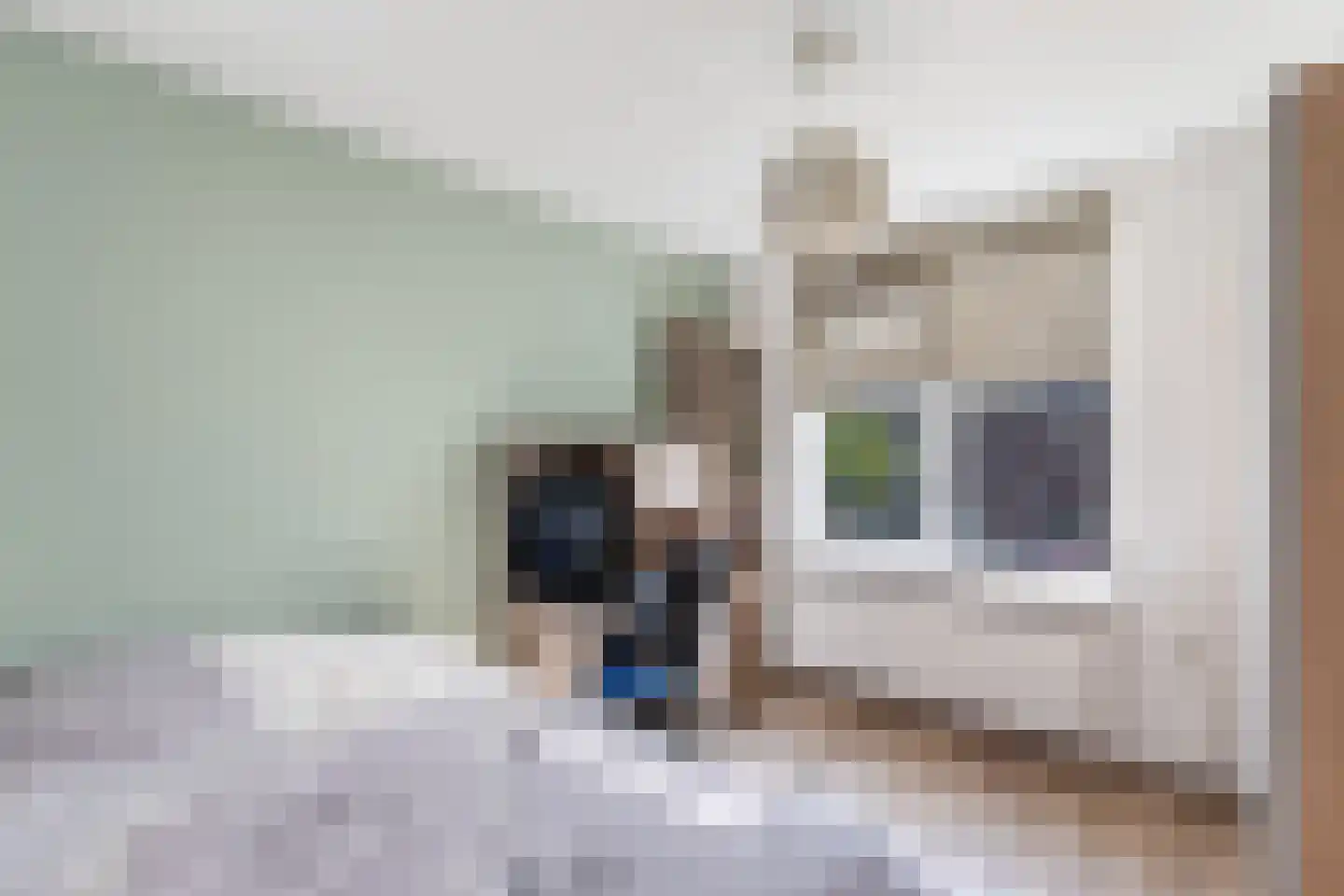 Vingerhoedskruid 5 Krimpen aan den IJssel thumbnail 33