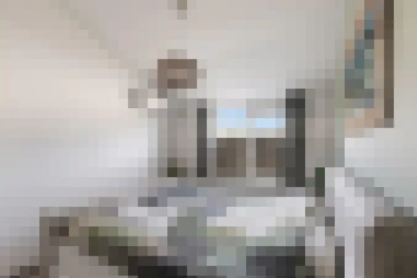 Vingerhoedskruid 5 Krimpen aan den IJssel thumbnail 35