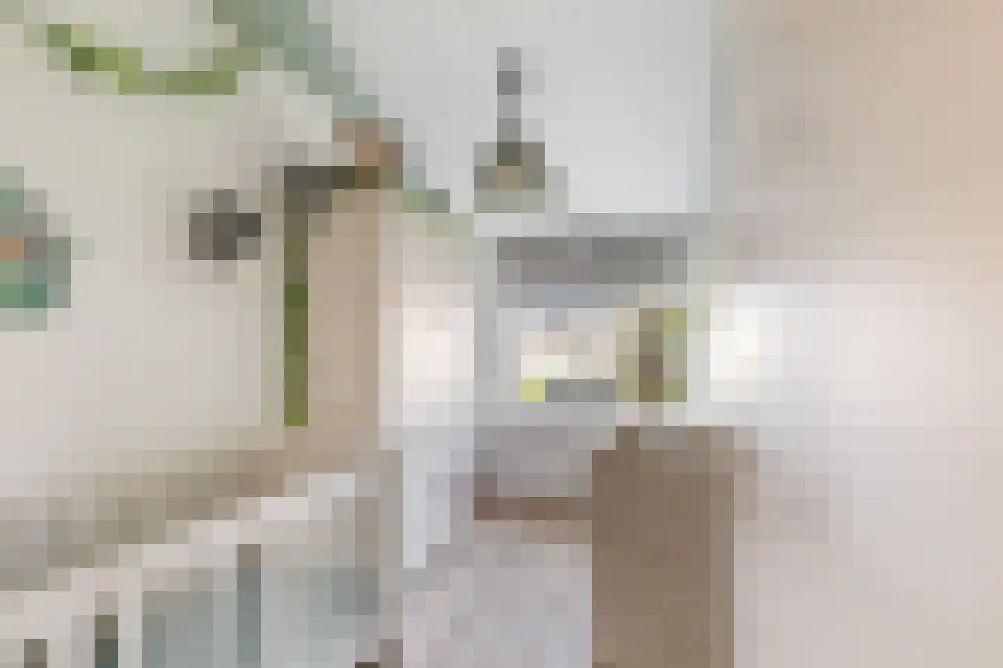Vingerhoedskruid 5 Krimpen aan den IJssel thumbnail 37