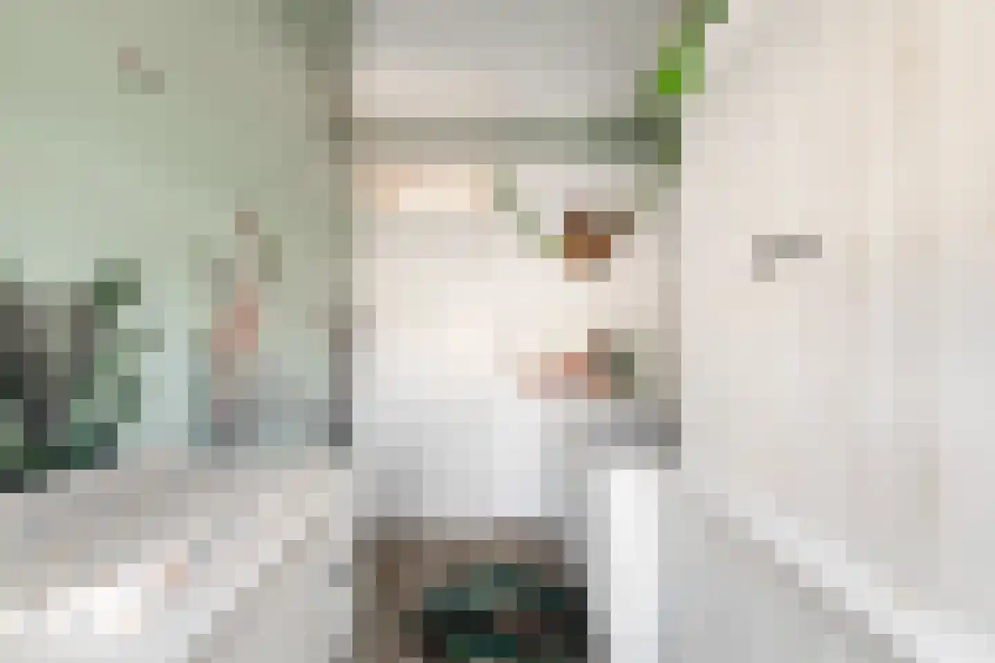 Vingerhoedskruid 5 Krimpen aan den IJssel thumbnail 38