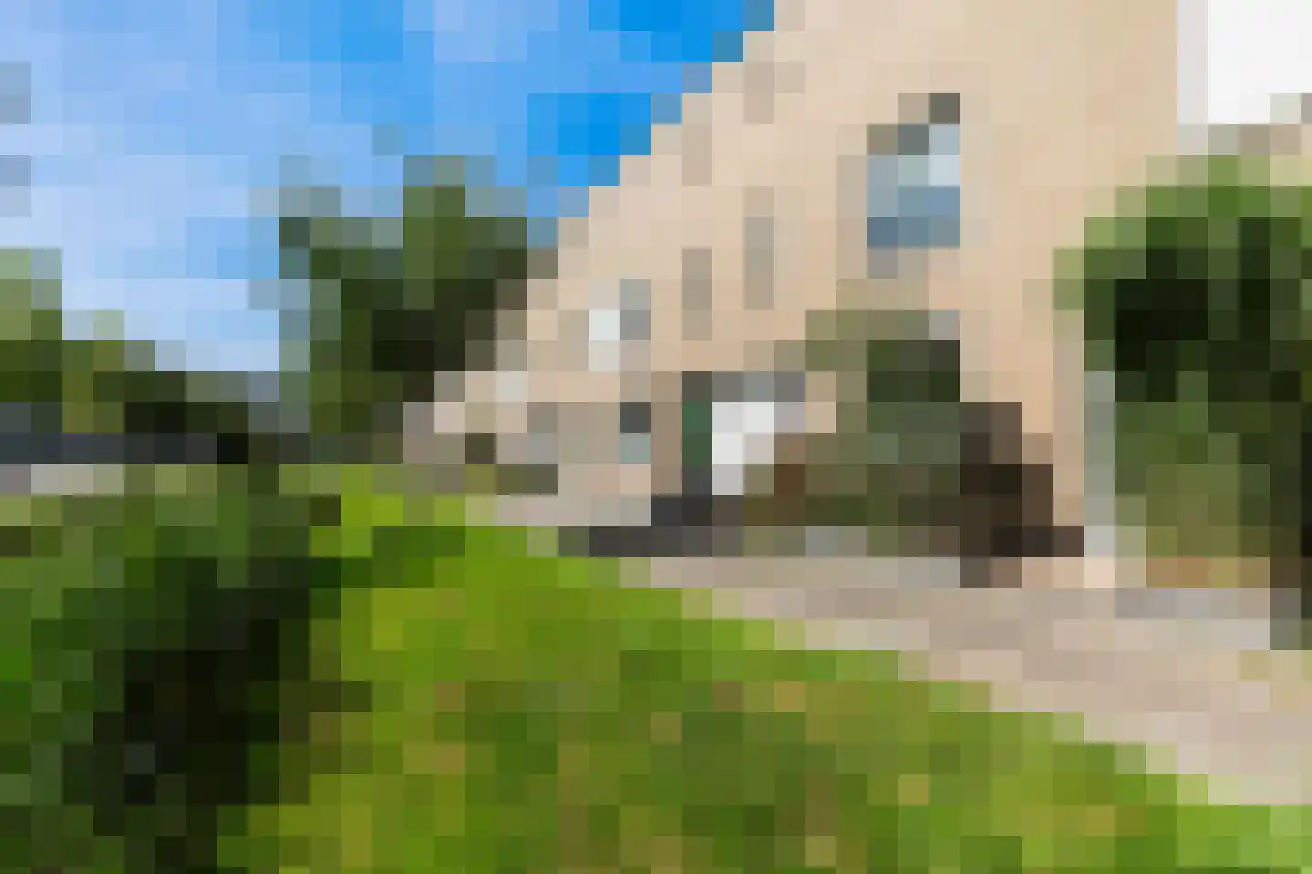 Vingerhoedskruid 5 Krimpen aan den IJssel thumbnail 47