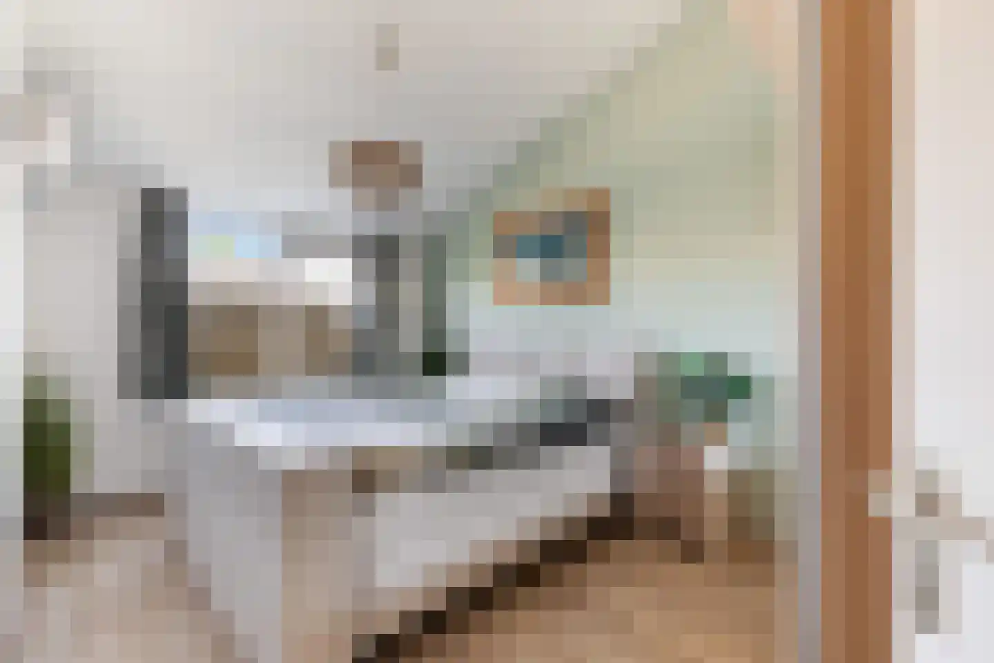 Vingerhoedskruid 5 Krimpen aan den IJssel thumbnail 5