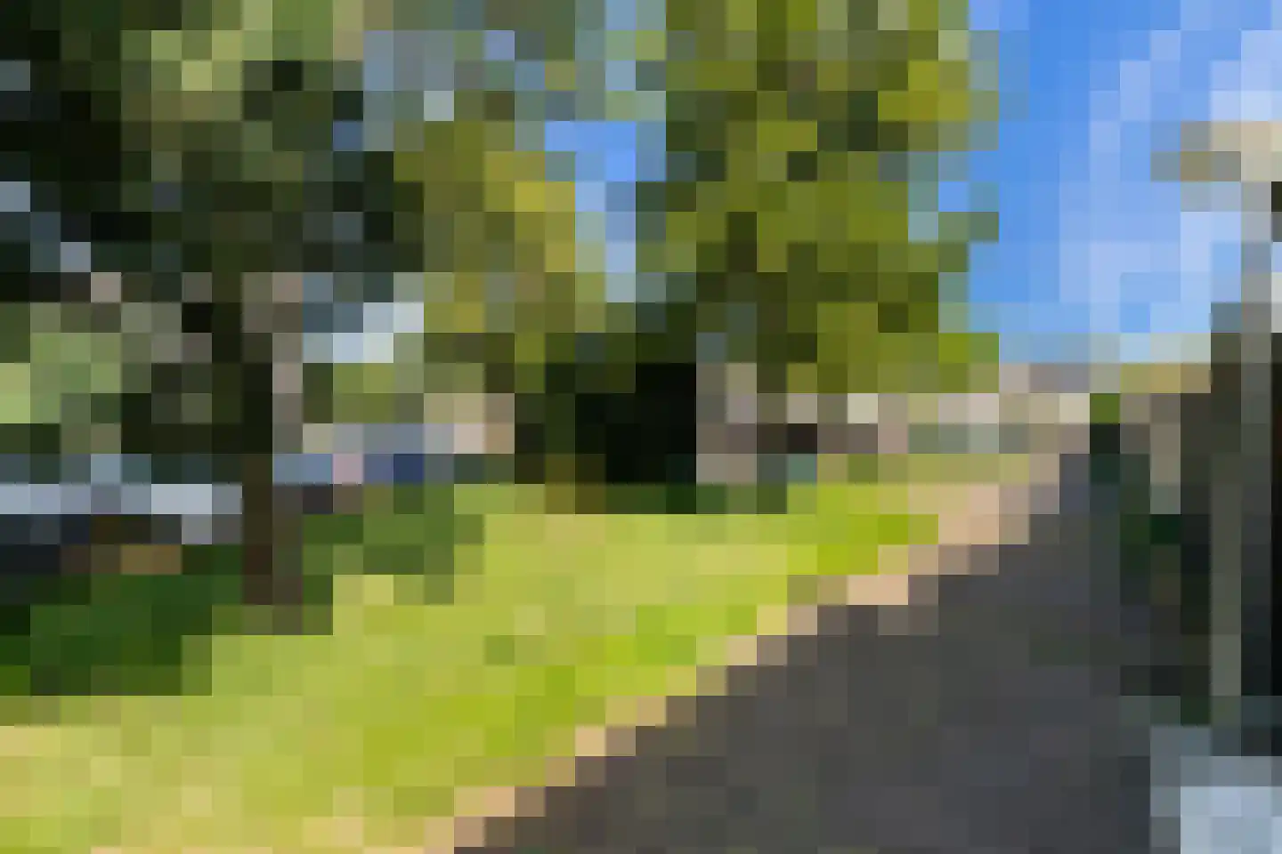 Vingerhoedskruid 5 Krimpen aan den IJssel thumbnail 51