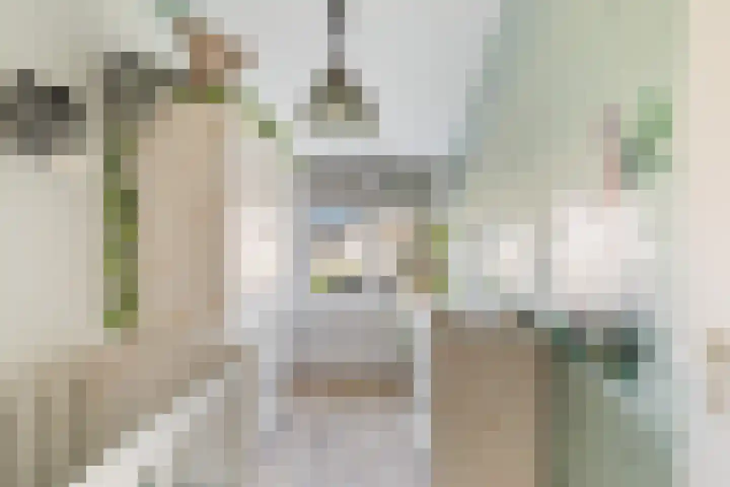 Vingerhoedskruid 5 Krimpen aan den IJssel thumbnail 6
