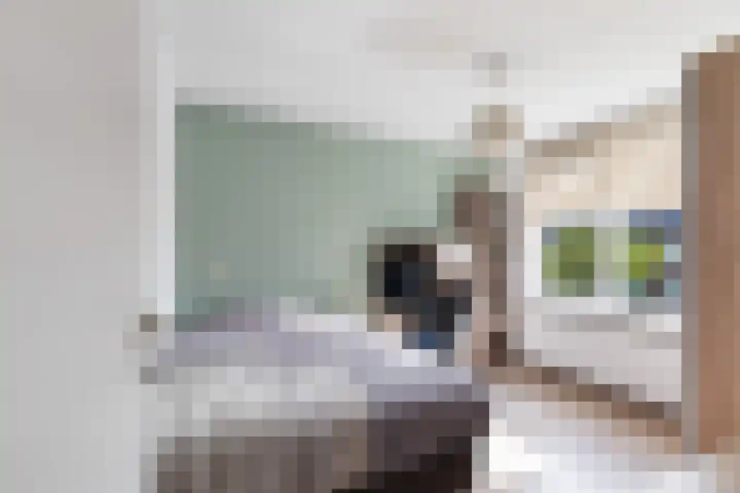 Vingerhoedskruid 5 Krimpen aan den IJssel thumbnail 7