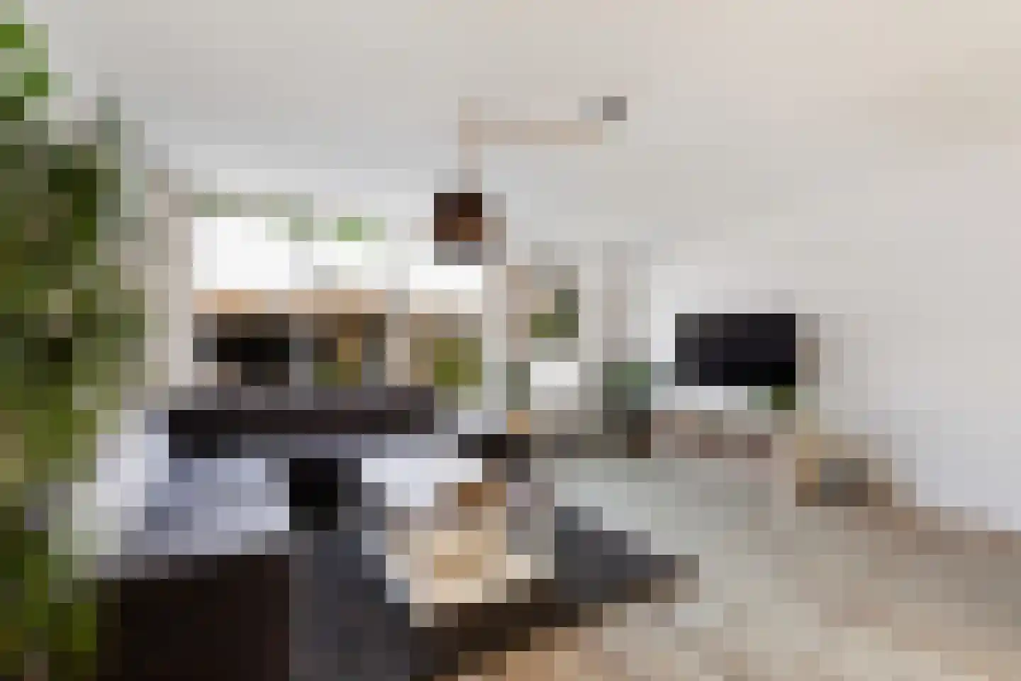 Vingerhoedskruid 5 Krimpen aan den IJssel thumbnail 9