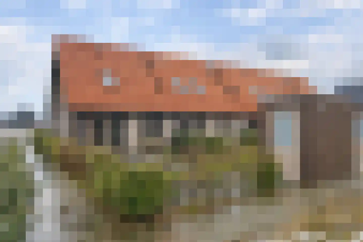 Vingerhoedskruid 52 Leek thumbnail 24