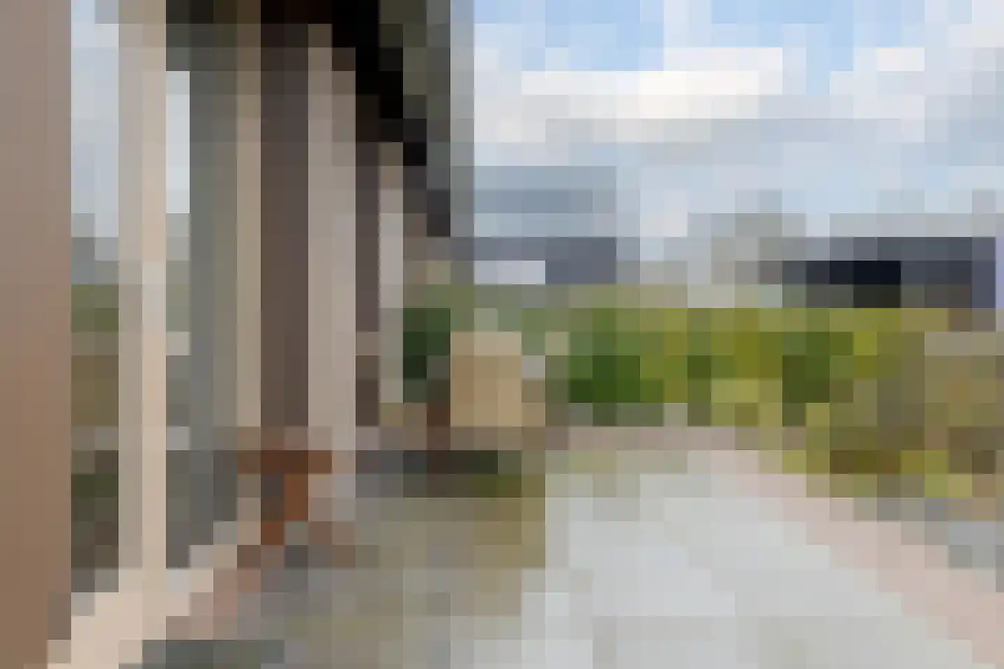 Vingerhoedskruid 52 Leek thumbnail 27