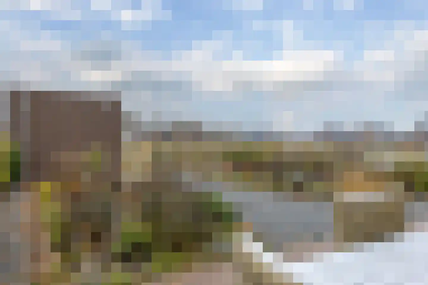 Vingerhoedskruid 52 Leek thumbnail 28