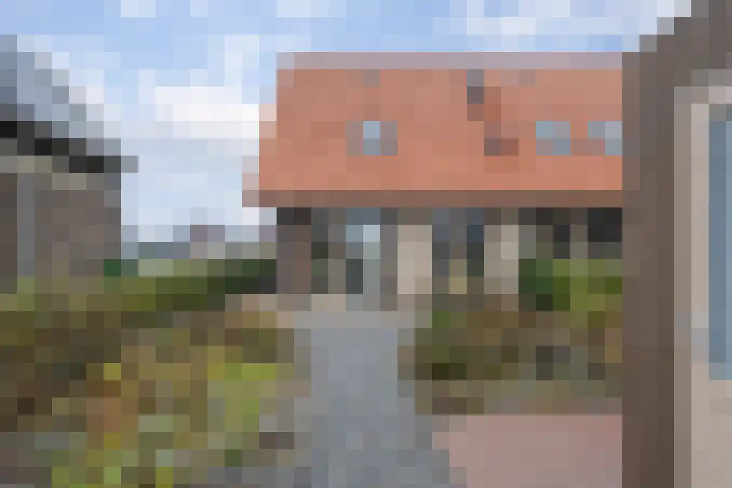 Vingerhoedskruid 52 Leek thumbnail 29