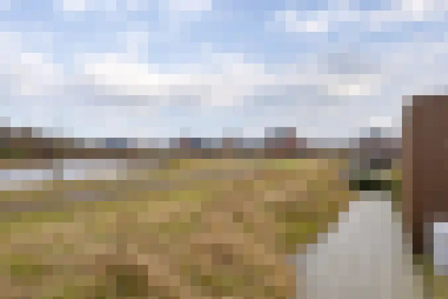 Vingerhoedskruid 52 Leek thumbnail 31