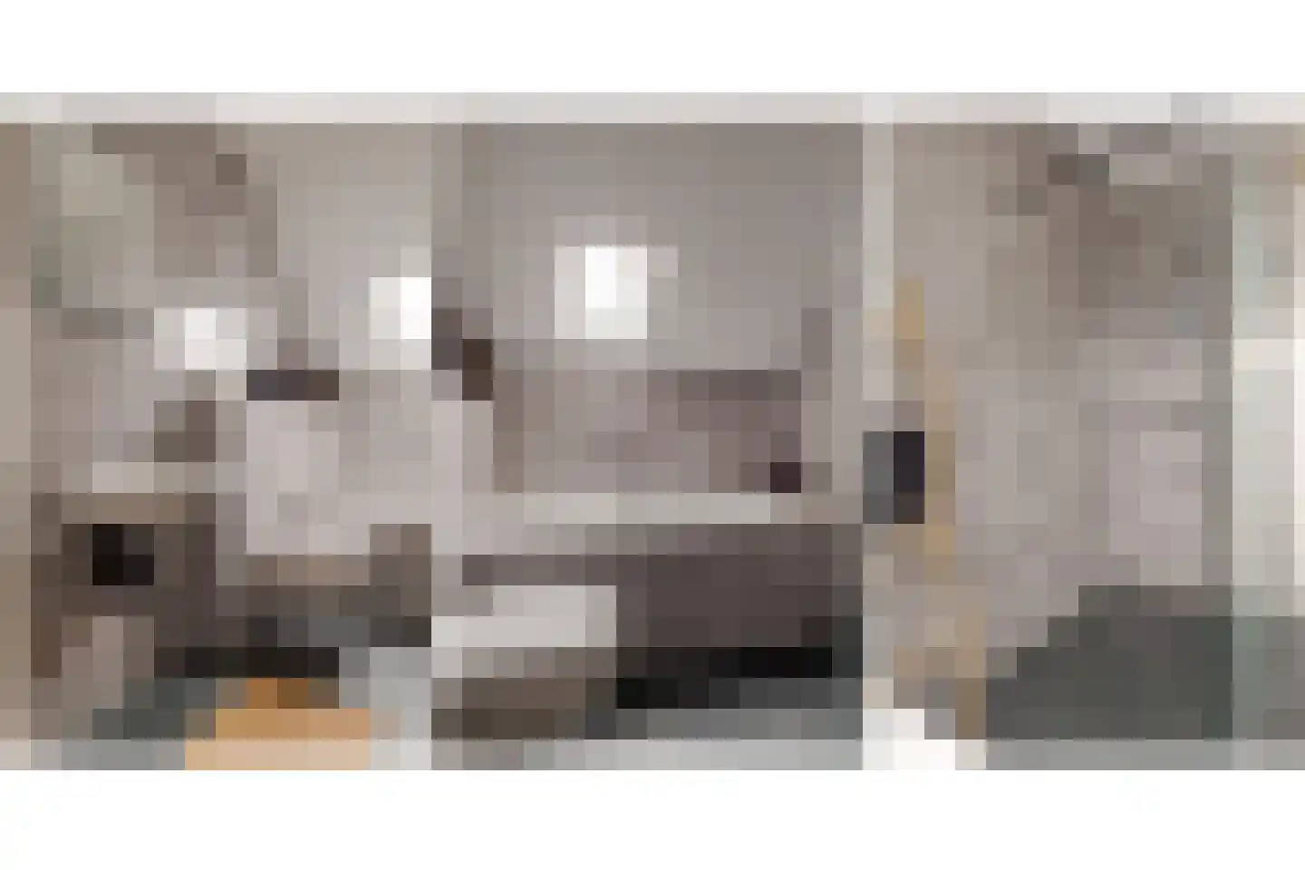Vingerhoedskruid 52 Leek thumbnail 40