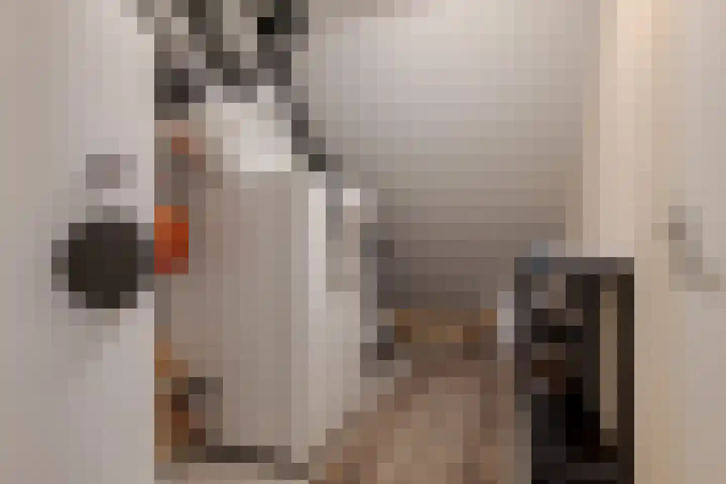 Vingerhoedskruid 52 Leek thumbnail 41