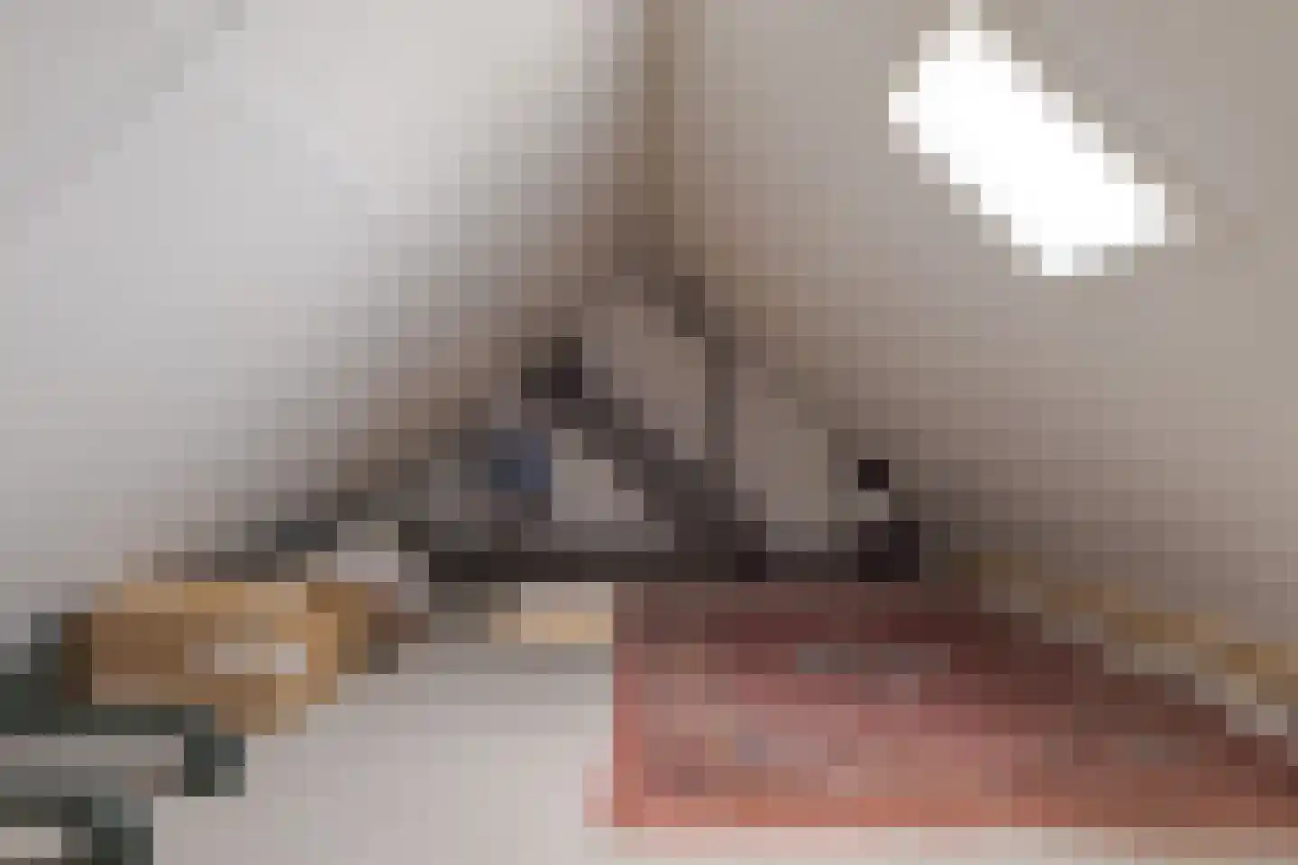 Vingerhoedskruid 52 Leek thumbnail 44