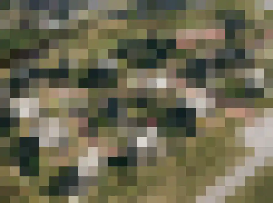 Vingerhoedskruid 52 Leek thumbnail 45