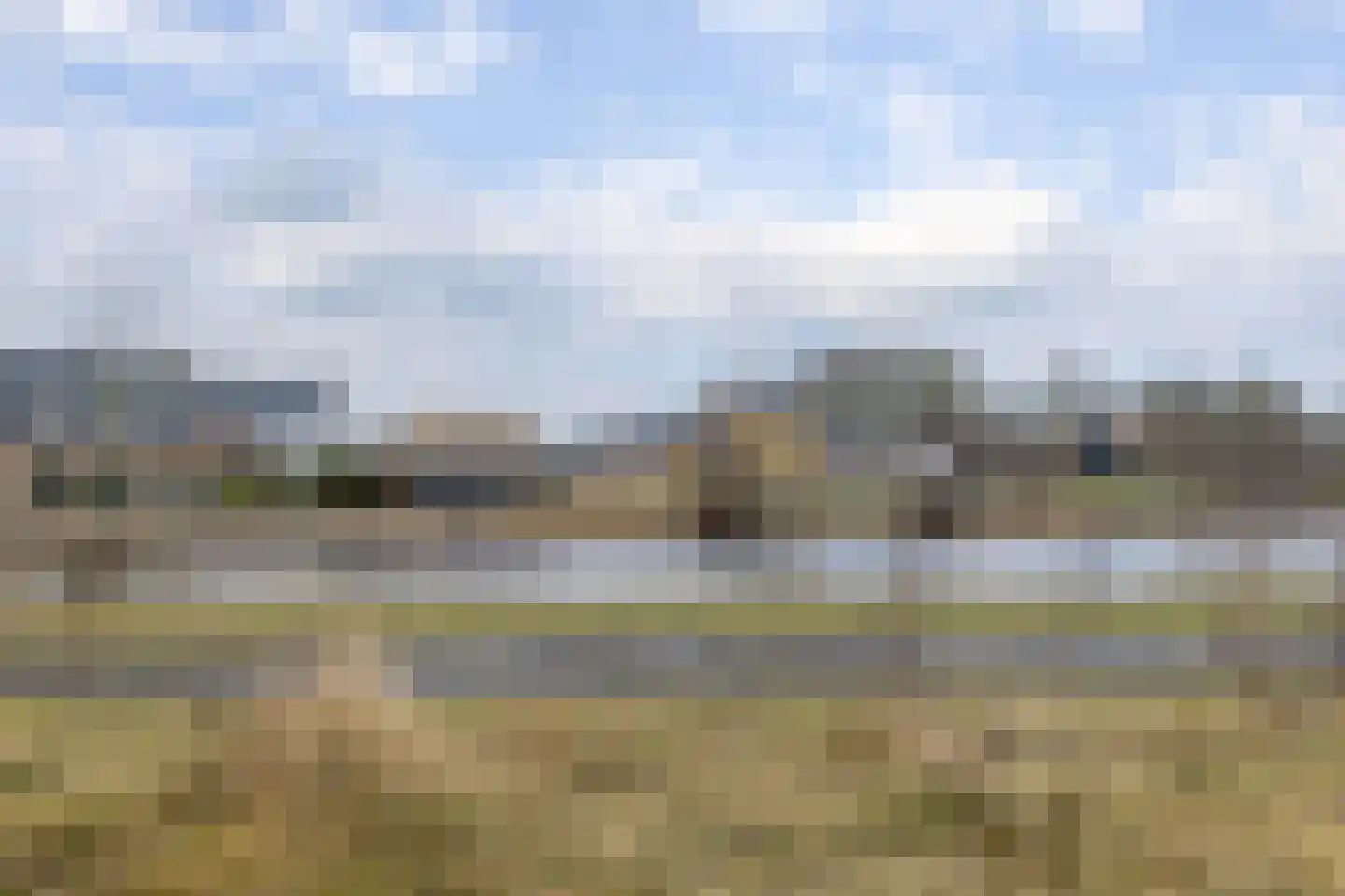 Vingerhoedskruid 52 Leek thumbnail 5