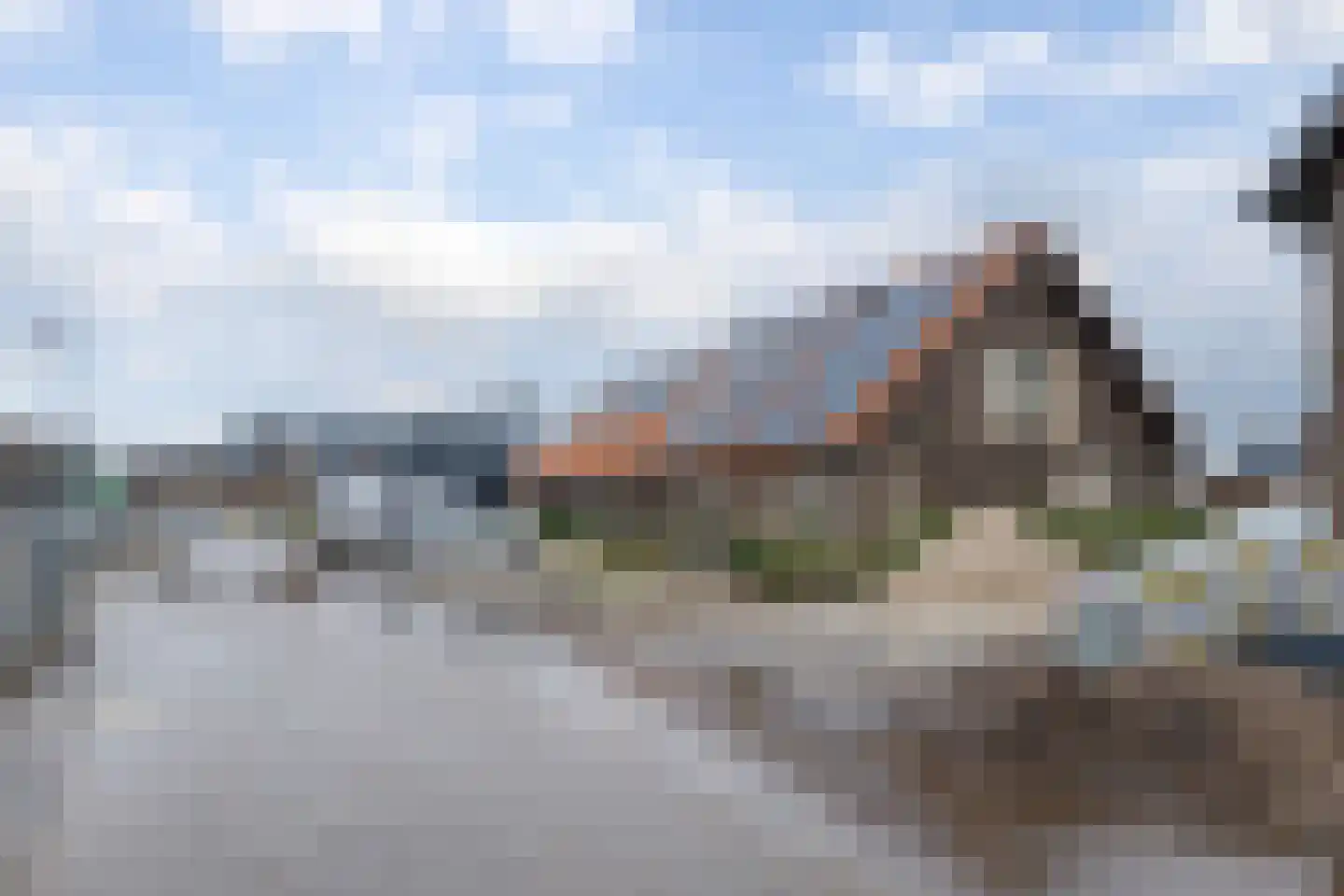Vingerhoedskruid 52 Leek thumbnail 7