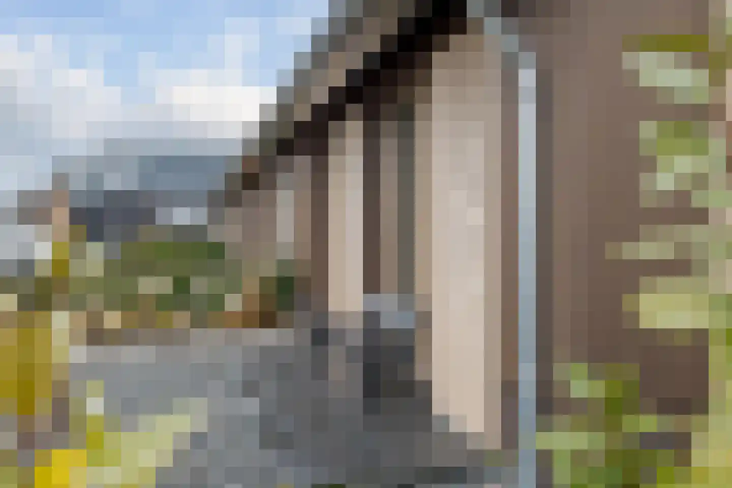 Vingerhoedskruid 52 Leek thumbnail 8