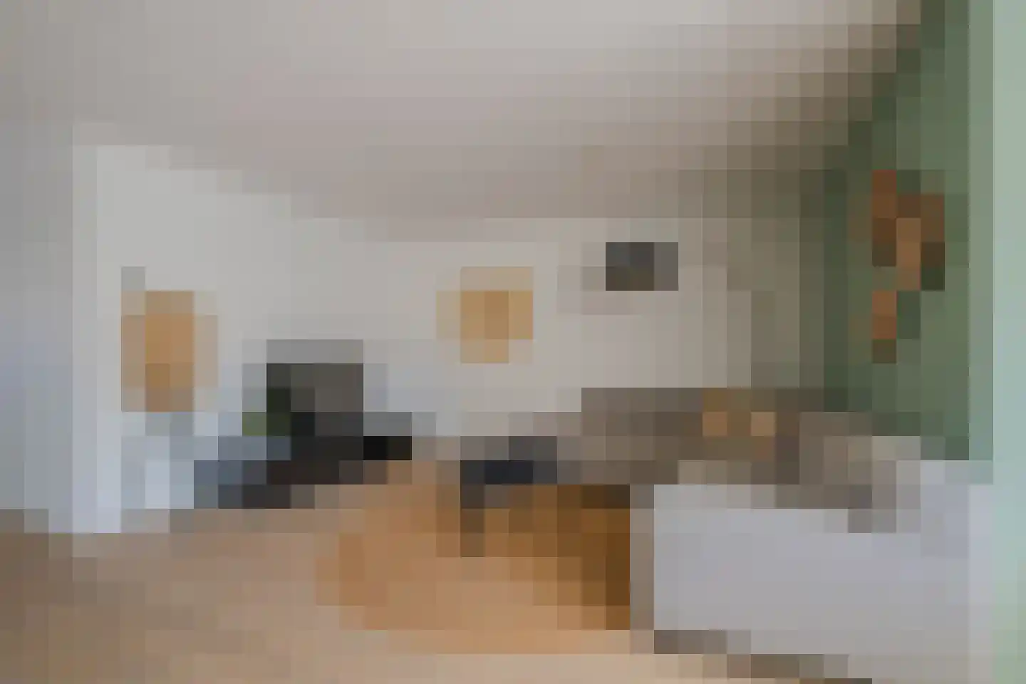 Vingerhoedskruid 56 Venray thumbnail 12
