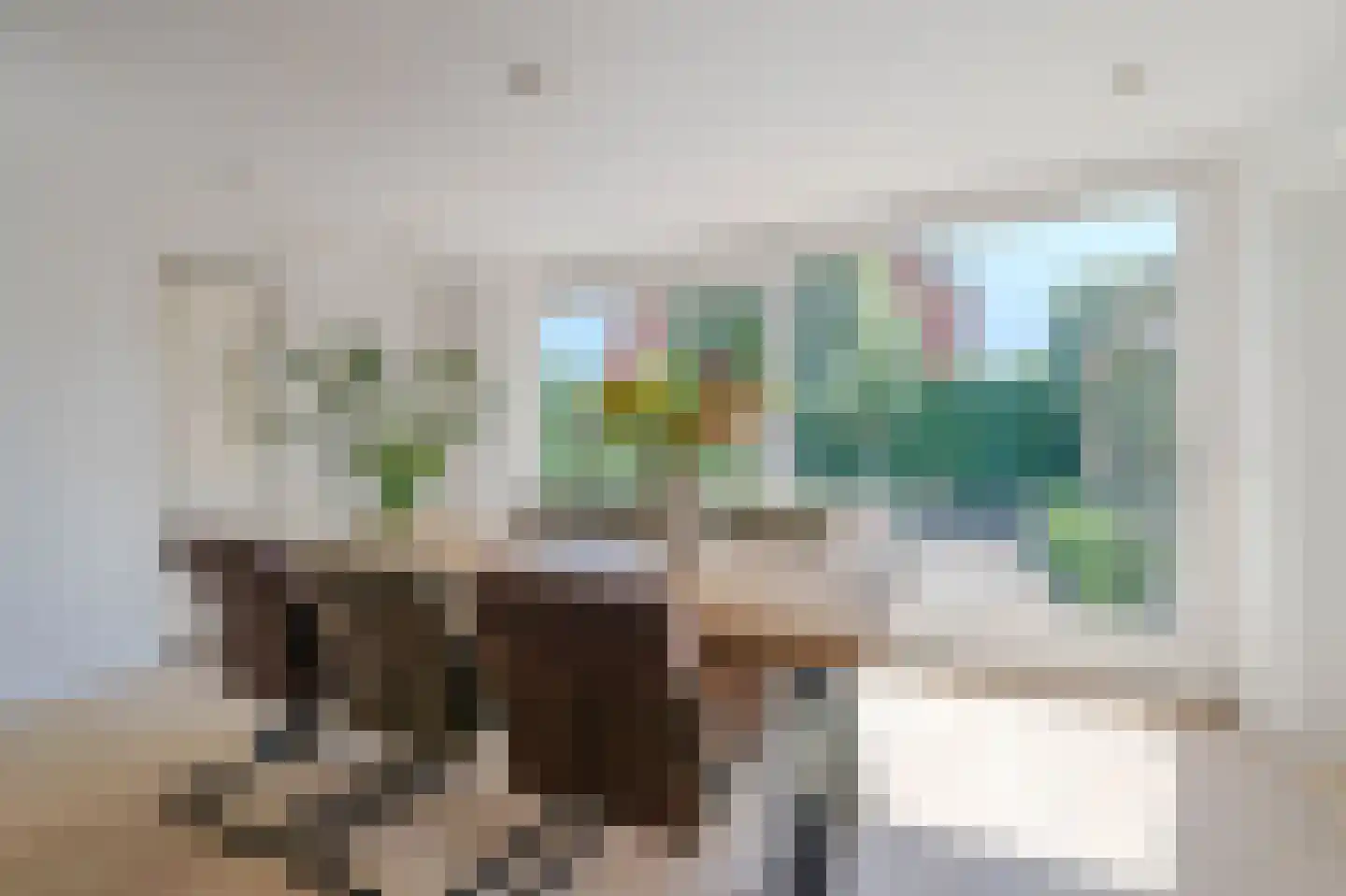 Vingerhoedskruid 56 Venray thumbnail 17